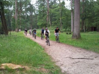  与朋友在森林中漫步 